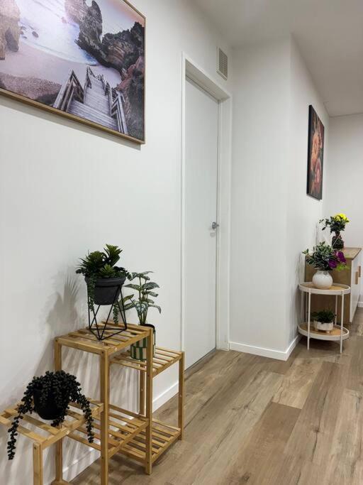 Stunning 3 Bd - 2 Bth City Apt - Pool & Carpark Auckland Exteriör bild