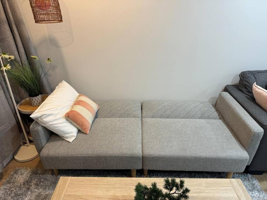 Stunning 3 Bd - 2 Bth City Apt - Pool & Carpark Auckland Exteriör bild