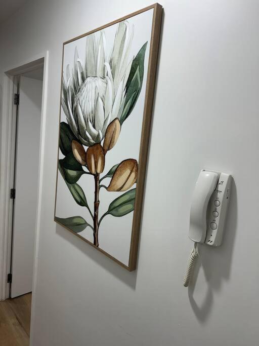 Stunning 3 Bd - 2 Bth City Apt - Pool & Carpark Auckland Exteriör bild